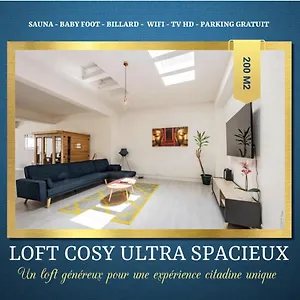 Loft Cosy - Hypercentre - Sauna - 200m2 - Wifi Appartement Graulhet